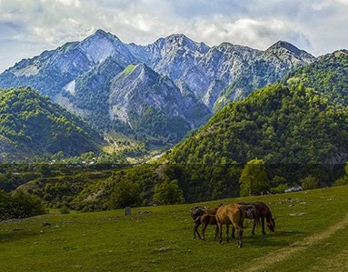 2-Thumbnail-preview-Gabala