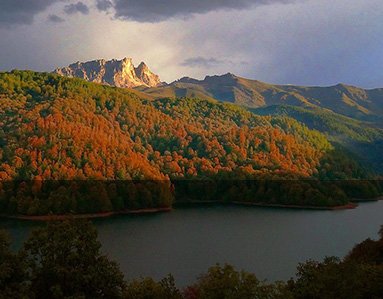 2-Thumbnail-preview-goygol