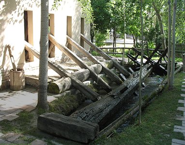 SITE_